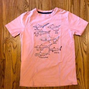 Tea Collection Boys short sleeve size 12